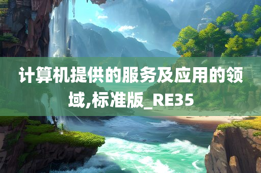 计算机提供的服务及应用的领域,标准版_RE35