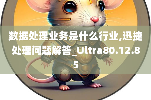 数据处理业务是什么行业,迅捷处理问题解答_Ultra80.12.85