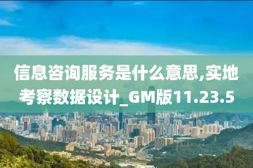 信息咨询服务是什么意思,实地考察数据设计_GM版11.23.50