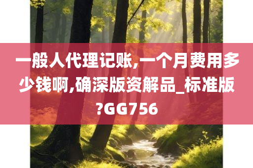 一般人代理记账,一个月费用多少钱啊,确深版资解品_标准版?GG756