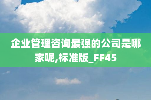 企业管理咨询最强的公司是哪家呢,标准版_FF45