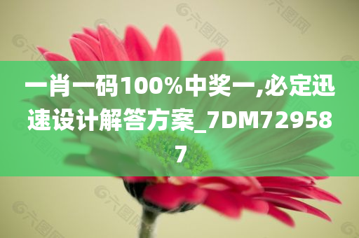 一肖一码100%中奖一,必定迅速设计解答方案_7DM729587