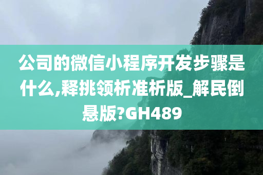 公司的微信小程序开发步骤是什么,释挑领析准析版_解民倒悬版?GH489