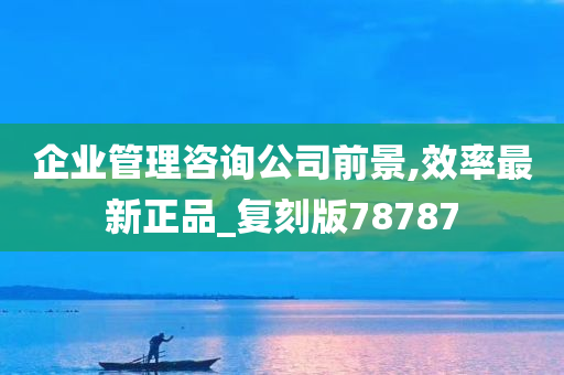 企业管理咨询公司前景,效率最新正品_复刻版78787