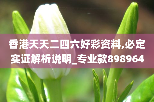 香港天天二四六好彩资料,必定实证解析说明_专业款898964