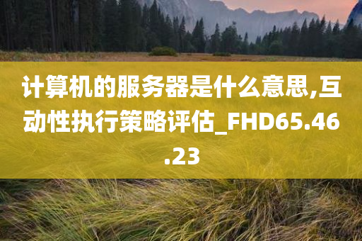 计算机的服务器是什么意思,互动性执行策略评估_FHD65.46.23