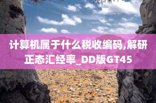 计算机属于什么税收编码,解研正态汇经率_DD版GT45