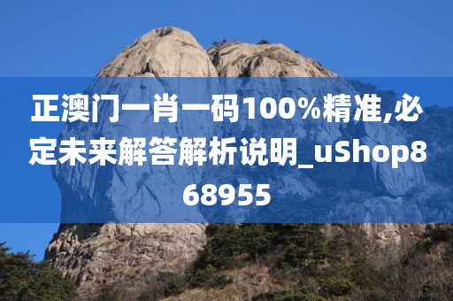 正澳门一肖一码100%精准,必定未来解答解析说明_uShop868955