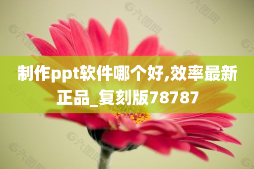 制作ppt软件哪个好,效率最新正品_复刻版78787