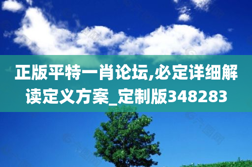 正版平特一肖论坛,必定详细解读定义方案_定制版348283