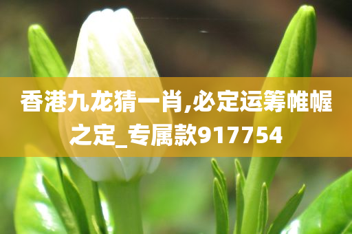 香港九龙猜一肖,必定运筹帷幄之定_专属款917754