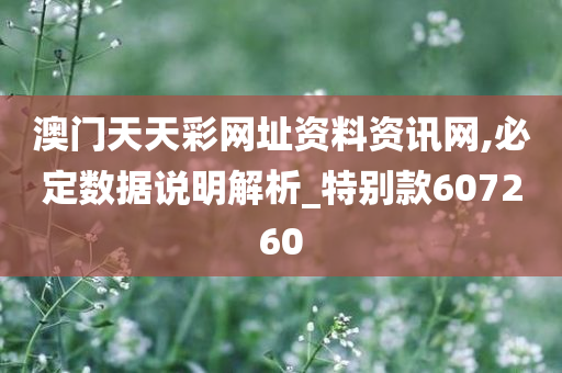 澳门天天彩网址资料资讯网,必定数据说明解析_特别款607260