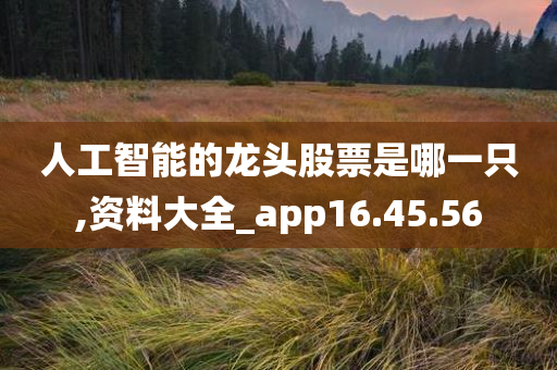 人工智能的龙头股票是哪一只,资料大全_app16.45.56