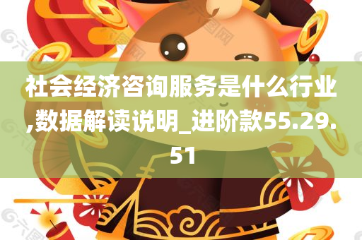 社会经济咨询服务是什么行业,数据解读说明_进阶款55.29.51