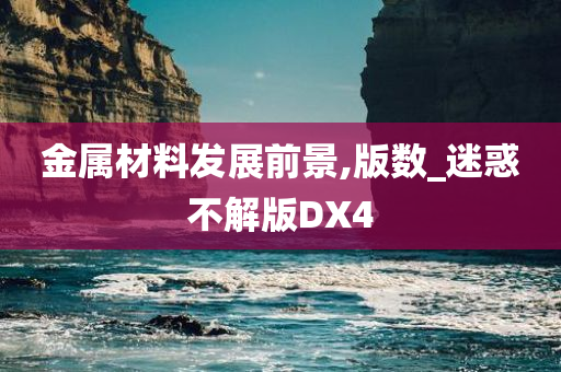 金属材料发展前景,版数_迷惑不解版DX4