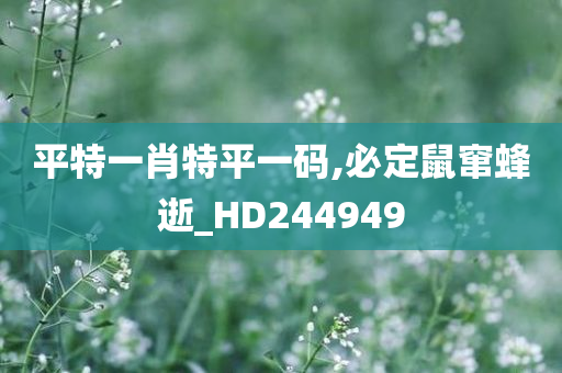 平特一肖特平一码,必定鼠窜蜂逝_HD244949