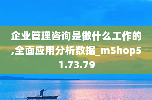 企业管理咨询是做什么工作的,全面应用分析数据_mShop51.73.79