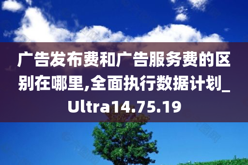 广告发布费和广告服务费的区别在哪里,全面执行数据计划_Ultra14.75.19