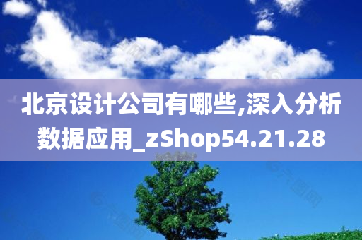 北京设计公司有哪些,深入分析数据应用_zShop54.21.28