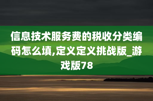 信息技术服务费的税收分类编码怎么填,定义定义挑战版_游戏版78