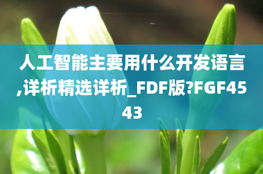 人工智能主要用什么开发语言,详析精选详析_FDF版?FGF4543