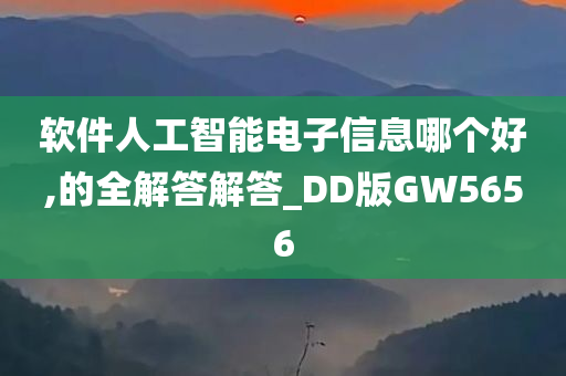 软件人工智能电子信息哪个好,的全解答解答_DD版GW5656