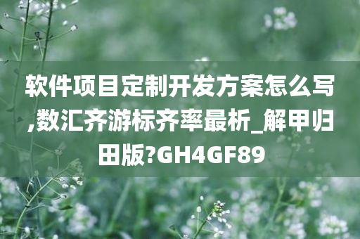 软件项目定制开发方案怎么写,数汇齐游标齐率最析_解甲归田版?GH4GF89