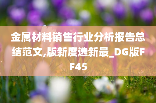 金属材料销售行业分析报告总结范文,版新度选新最_DG版FF45