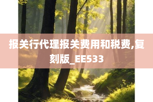 报关行代理报关费用和税费,复刻版_EE533