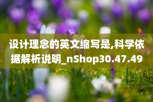 设计理念的英文缩写是,科学依据解析说明_nShop30.47.49