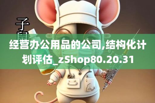 经营办公用品的公司,结构化计划评估_zShop80.20.31