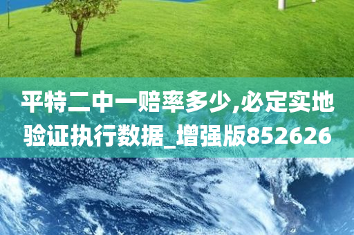 平特二中一赔率多少,必定实地验证执行数据_增强版852626