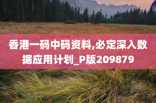 香港一码中码资料,必定深入数据应用计划_P版209879