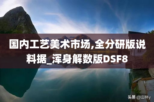 国内工艺美术市场,全分研版说料据_浑身解数版DSF8