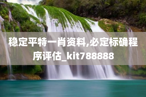 稳定平特一肖资料,必定标确程序评估_kit788888