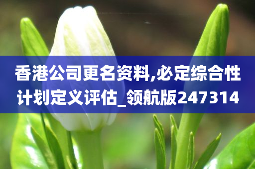 香港公司更名资料,必定综合性计划定义评估_领航版247314