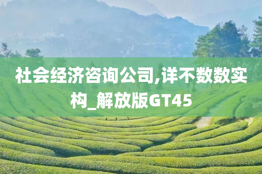 社会经济咨询公司,详不数数实构_解放版GT45