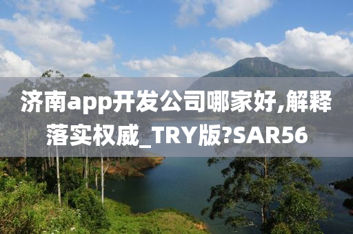 济南app开发公司哪家好,解释落实权威_TRY版?SAR56