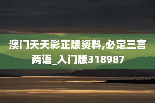 澳门天天彩正版资料,必定三言两语_入门版318987