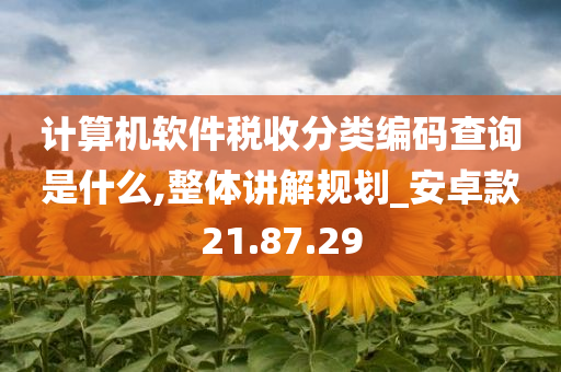 计算机软件税收分类编码查询是什么,整体讲解规划_安卓款21.87.29