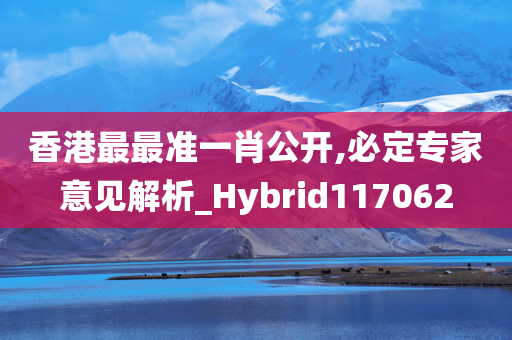 香港最最准一肖公开,必定专家意见解析_Hybrid117062