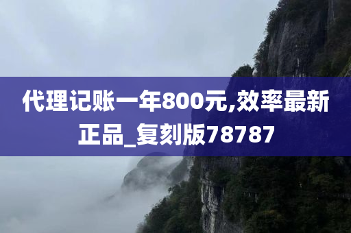 代理记账一年800元,效率最新正品_复刻版78787