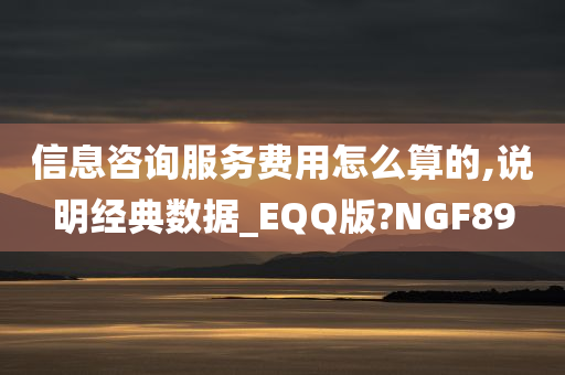 信息咨询服务费用怎么算的,说明经典数据_EQQ版?NGF89