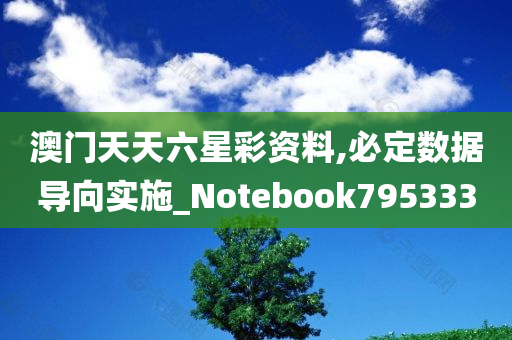 澳门天天六星彩资料,必定数据导向实施_Notebook795333