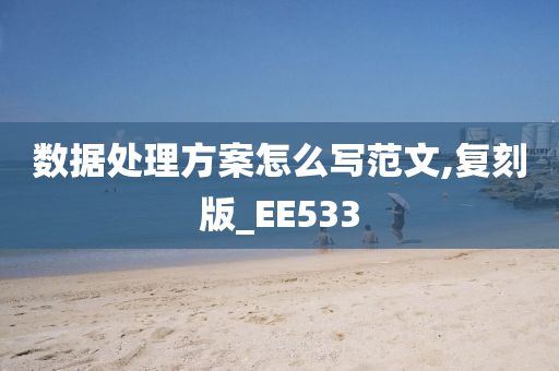 数据处理方案怎么写范文,复刻版_EE533