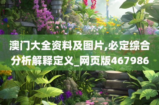 澳门大全资料及图片,必定综合分析解释定义_网页版467986