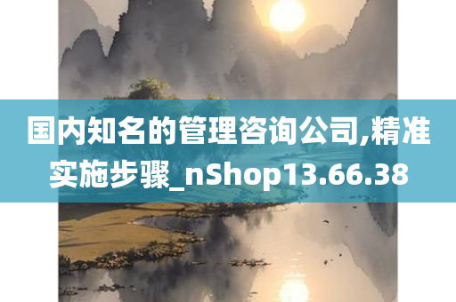 国内知名的管理咨询公司,精准实施步骤_nShop13.66.38