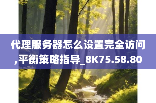 代理服务器怎么设置完全访问,平衡策略指导_8K75.58.80