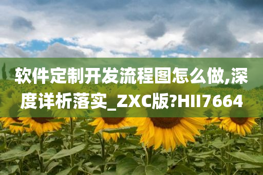 软件定制开发流程图怎么做,深度详析落实_ZXC版?HII7664