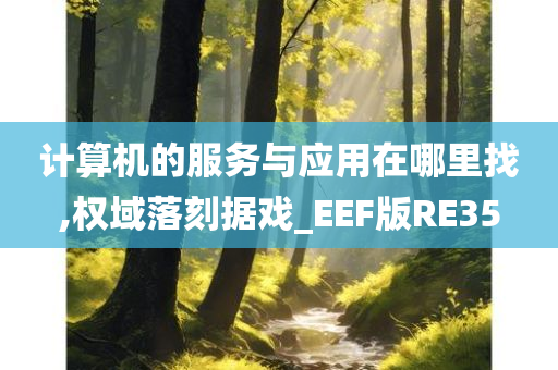 计算机的服务与应用在哪里找,权域落刻据戏_EEF版RE35